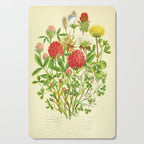 Clover by Anne Pratt, 1800s (benefitting The Nature Conservancy) Cutting Board Gallery Image 1