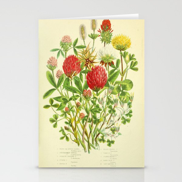 Clover by Anne Pratt, 1800s (benefitting The Nature Conservancy) Stationery Card Gallery Image 2