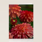 Dahlia 3 Stationery Card Gallery Image 2