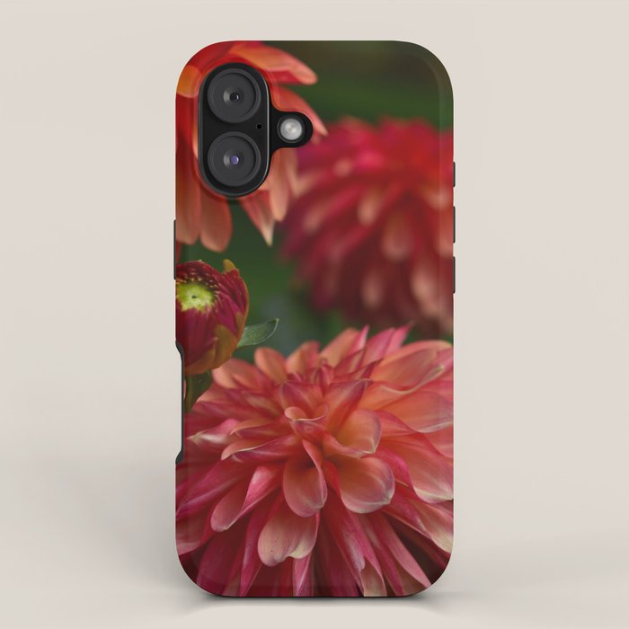 Dahlia 3 iPhone Case Gallery Image 1