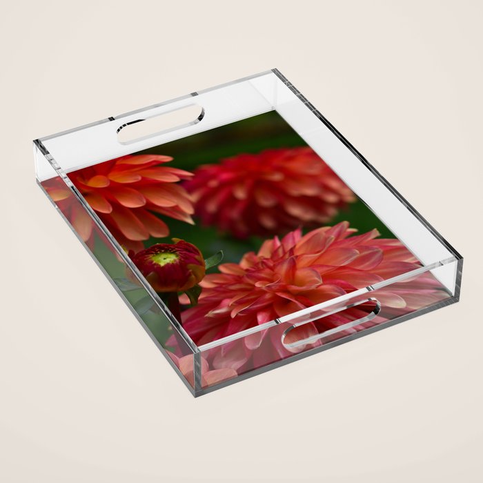 Dahlia 3 Acrylic Tray Gallery Image 1