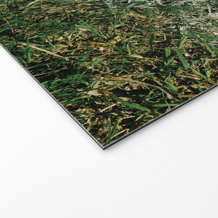 Baseball Season Equipment Welcome Mat Gallery Image 2