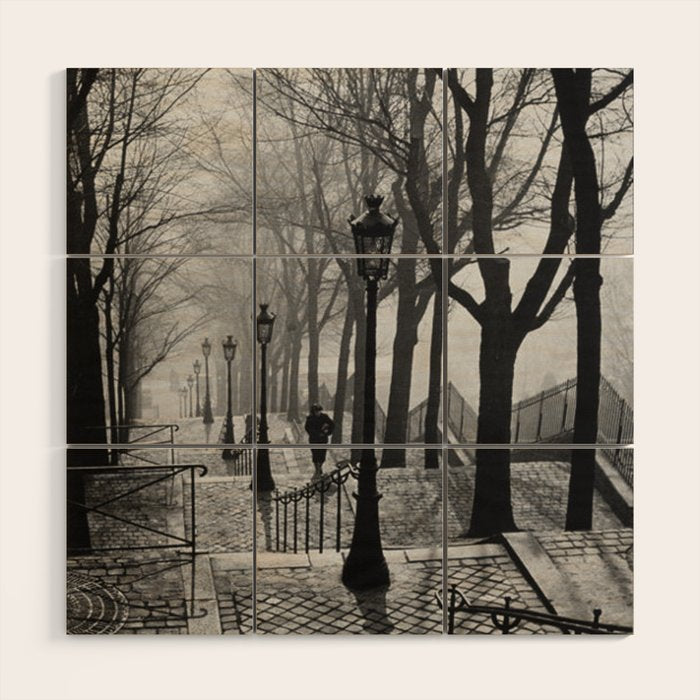 Sacre Coeur, Montmartre, Paris, France Stairs black and white photograph / black and white photography Wood Wall Art Gallery Image 1
