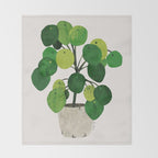 Pilea Peperomioides interior plant Throw Blanket Gallery Image 2