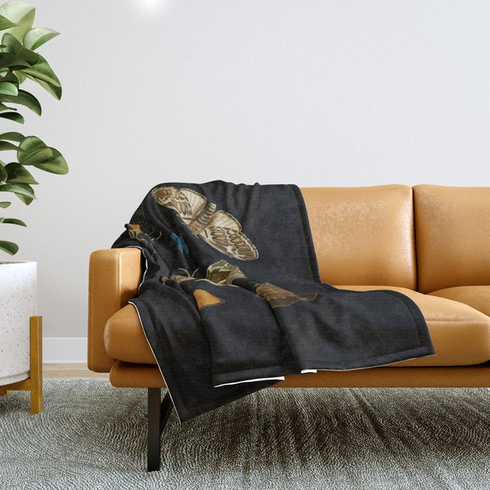 Moths Butterflies In Darkness Vintage Scientific Illustration Encyclopedia Diagram Throw Blanket Gallery Image 1