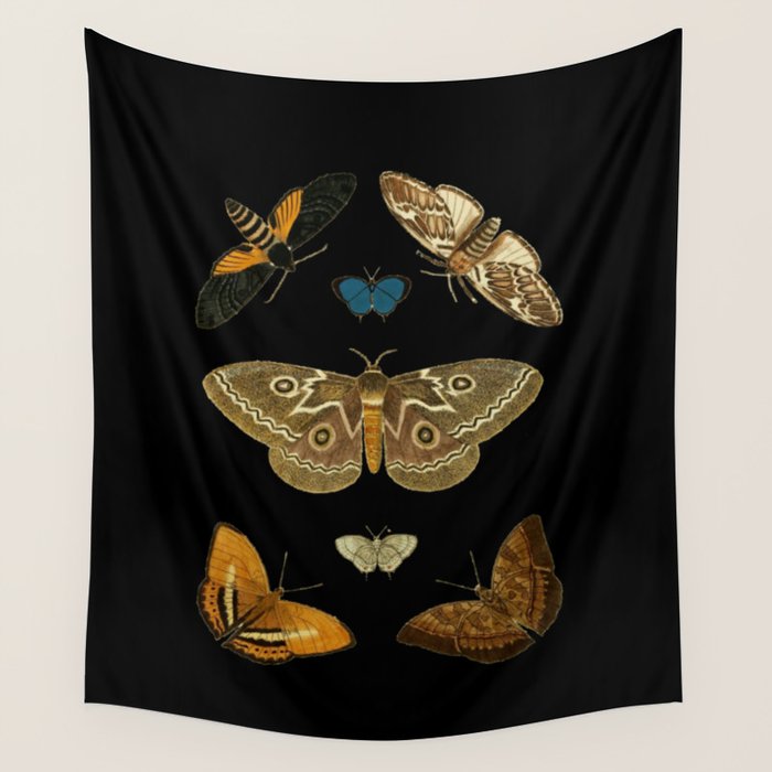 Moths Butterflies In Darkness Vintage Scientific Illustration Encyclopedia Diagram Wall Tapestry Gallery Image 4