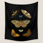 Moths Butterflies In Darkness Vintage Scientific Illustration Encyclopedia Diagram Wall Tapestry Gallery Image 4
