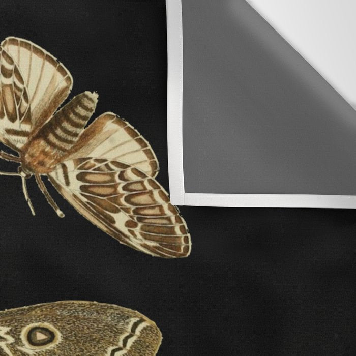 Moths Butterflies In Darkness Vintage Scientific Illustration Encyclopedia Diagram Wall Tapestry Gallery Image 3