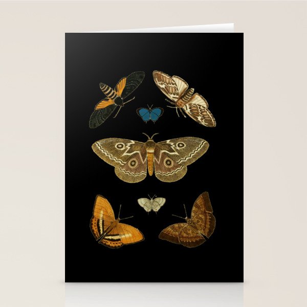Moths Butterflies In Darkness Vintage Scientific Illustration Encyclopedia Diagram Stationery Card Gallery Image 1