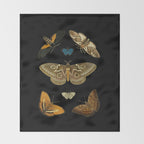Moths Butterflies In Darkness Vintage Scientific Illustration Encyclopedia Diagram Throw Blanket Gallery Image 2