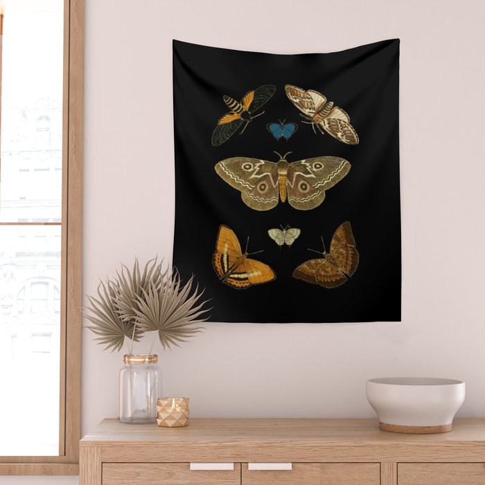 Moths Butterflies In Darkness Vintage Scientific Illustration Encyclopedia Diagram Wall Tapestry Gallery Image 2