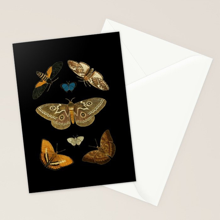 Moths Butterflies In Darkness Vintage Scientific Illustration Encyclopedia Diagram Stationery Card Gallery Image 2