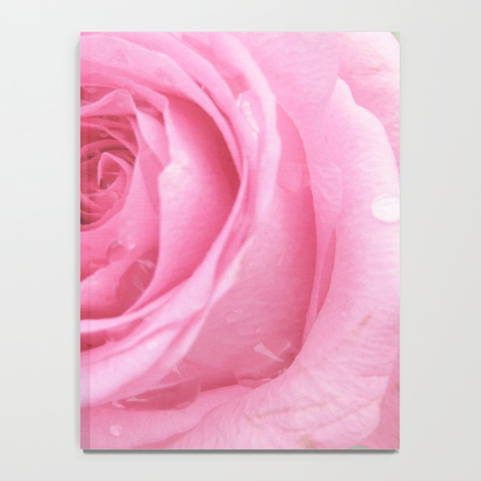 Morning Rose Notebook Gallery Image 4