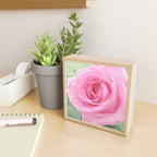 Morning Rose Mini Art Print Gallery Image 2