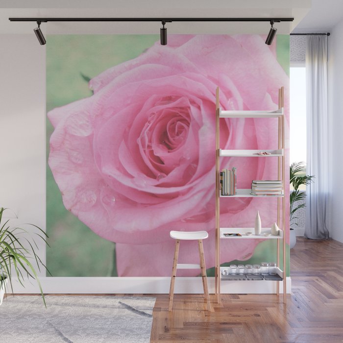 Morning Rose Wall Mural Gallery Image 1