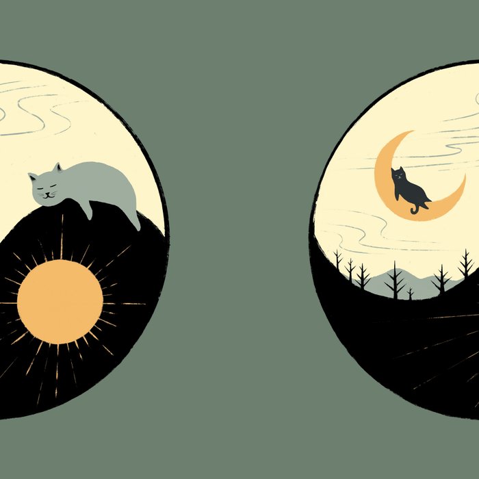 Hidden cat 36 yin yang balance Coffee Mug Gallery Image 2