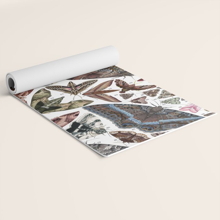 Moths of North America Yoga Mat Gallery Image 2