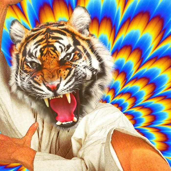 Fighting Tiger - Optical illusion  Coffee Mug Gallery Image 2