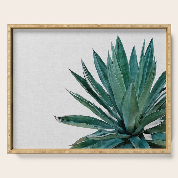 Agave Cactus Serving Tray Gallery Image 1