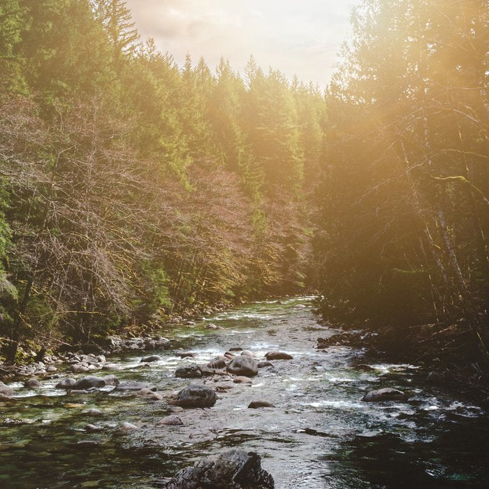 A Pacific Northwest River Adventure - 64/365 Nature Photography Coffee Mug Gallery Image 2