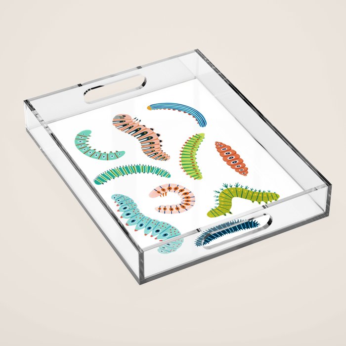 Chubby Caterpillars Acrylic Tray Gallery Image 1
