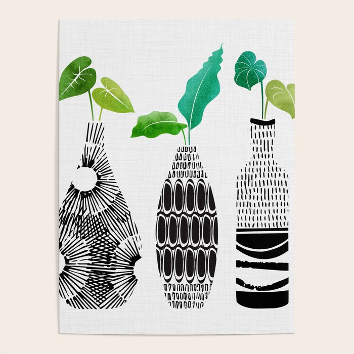 Black and White Plant Trio Poster Gallery Image 1
