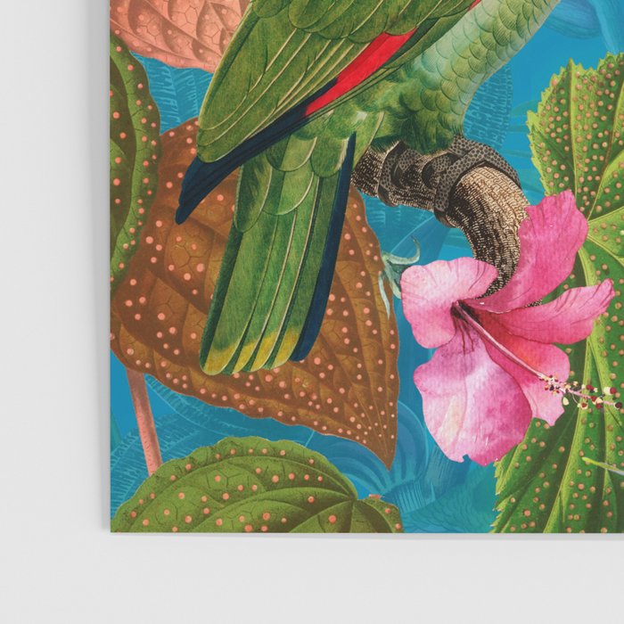 Vintage & Shabby Chic - Hot Exotic Tropical Birds Jungle Poster Gallery Image 3