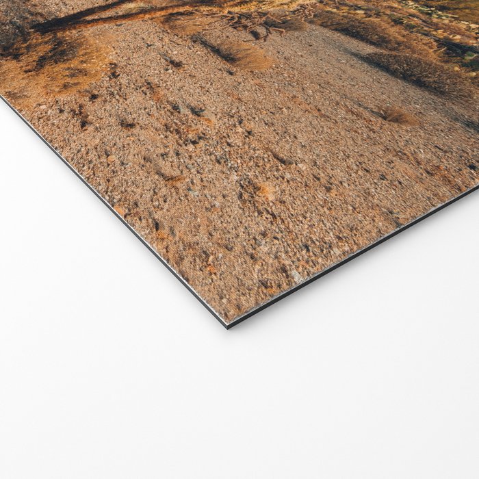 Desert Sun Welcome Mat Gallery Image 2