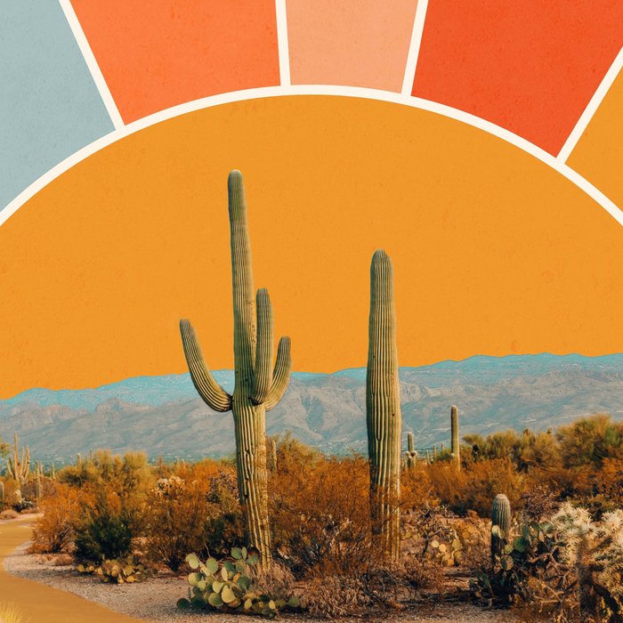 Desert Sun Coffee Mug Gallery Image 2