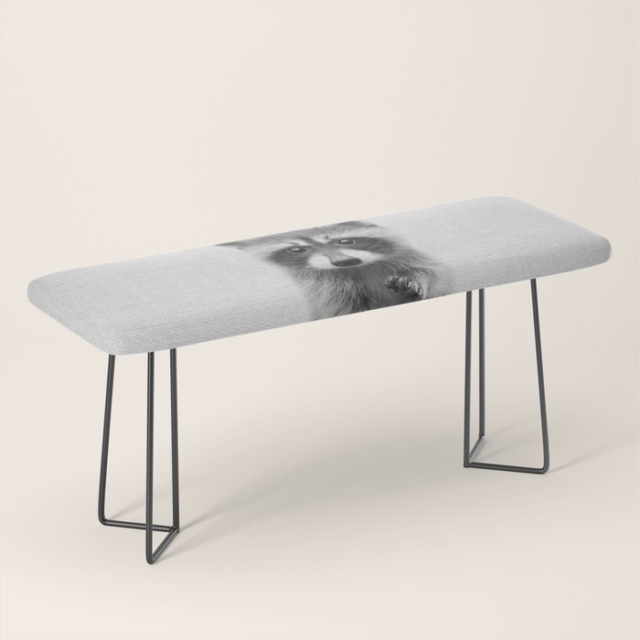 Raccoon - Black & White Bench Gallery Image 1