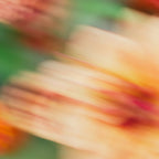 Moving Flowers | Abstract Floral Photography Coffee Mug Gallery Image 2