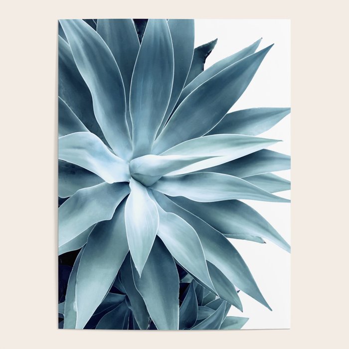 Bursting into life - teal Poster Gallery Image 1
