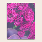 Flowers and Echeveria Notebook Gallery Image 4