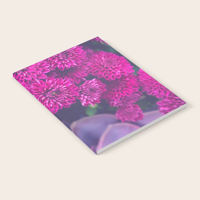 Flowers and Echeveria Notebook Gallery Image 2