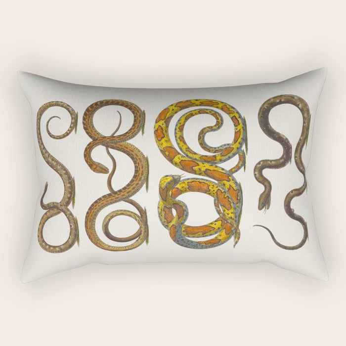 Albertus Seba Snakes Illustration  Rectangular Pillow Gallery Image 2