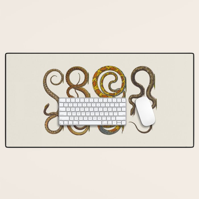 Albertus Seba Snakes Illustration  Desk Mat Gallery Image 1