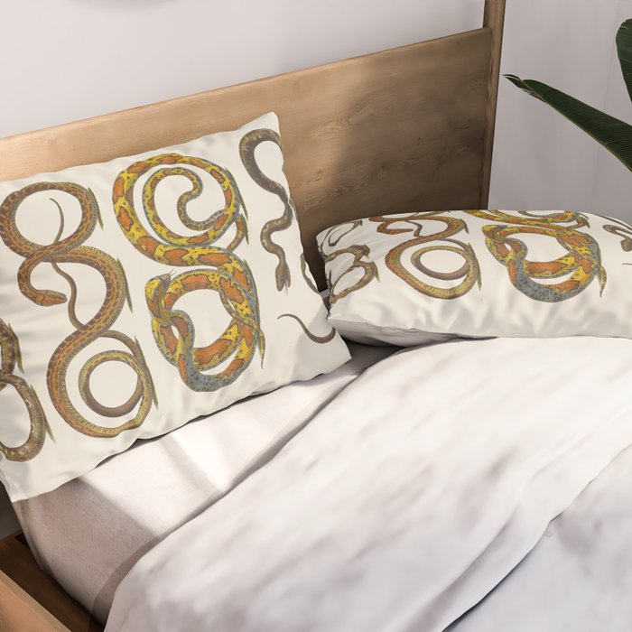 Albertus Seba Snakes Illustration  Pillow Sham Gallery Image 2