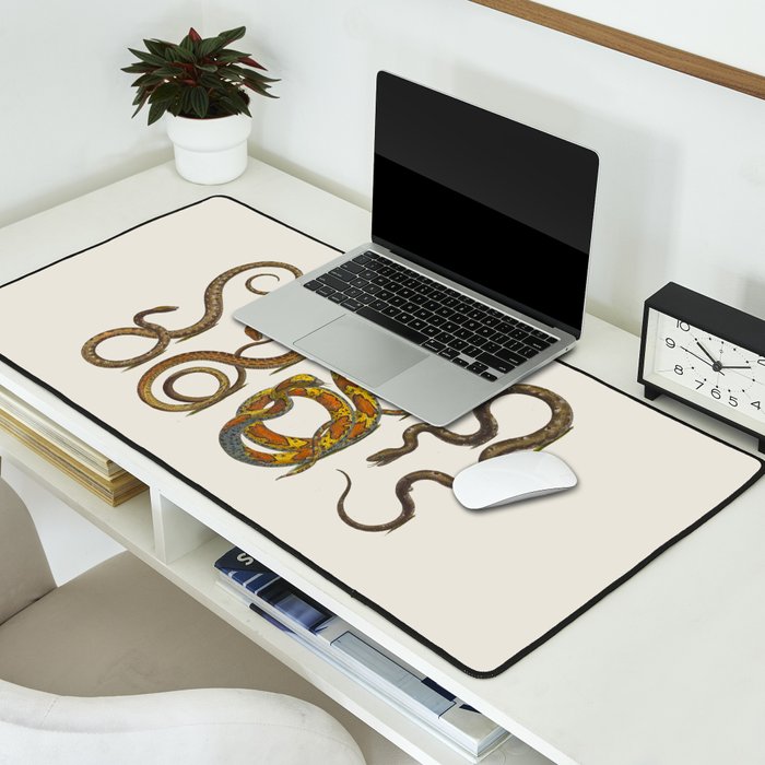 Albertus Seba Snakes Illustration  Desk Mat Gallery Image 2