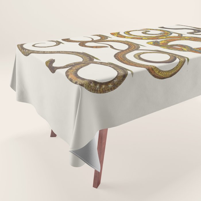 Albertus Seba Snakes Illustration  Tablecloth Gallery Image 1