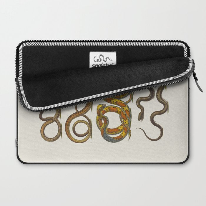 Albertus Seba Snakes Illustration  Laptop Sleeve Gallery Image 2