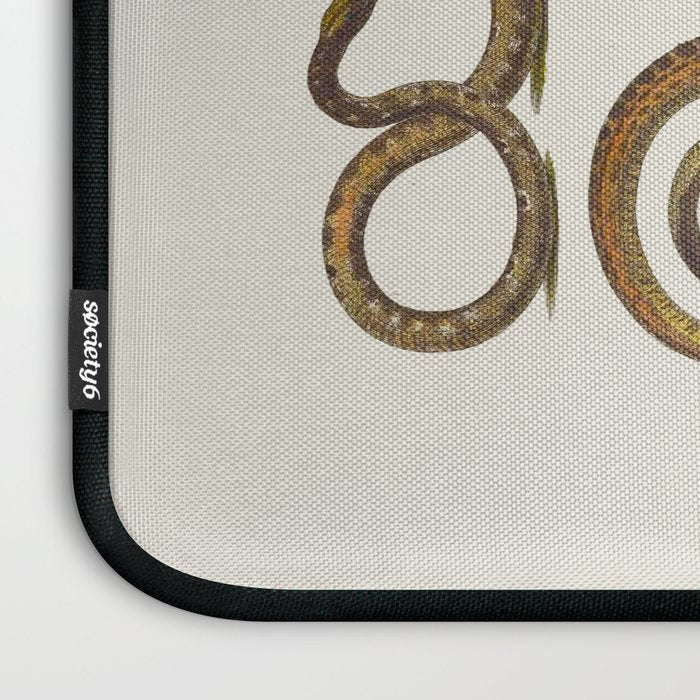 Albertus Seba Snakes Illustration  Laptop Sleeve Gallery Image 3