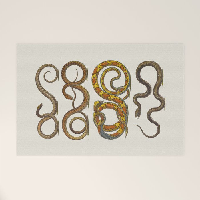 Albertus Seba Snakes Illustration  Welcome Mat Gallery Image 1