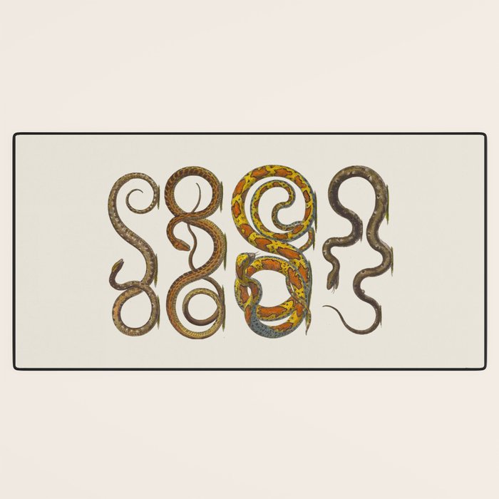 Albertus Seba Snakes Illustration  Desk Mat Gallery Image 3