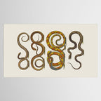 Albertus Seba Snakes Illustration  Tablecloth Gallery Image 2