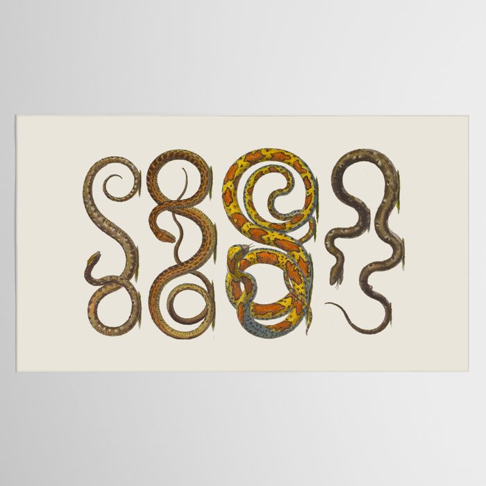 Albertus Seba Snakes Illustration  Tablecloth Gallery Image 2