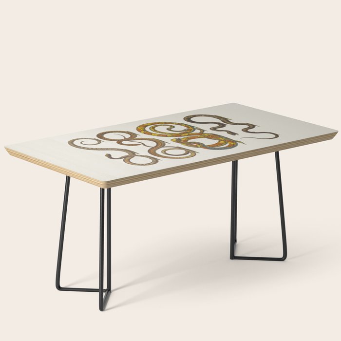 Albertus Seba Snakes Illustration  Coffee Table Gallery Image 1