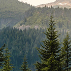 Mount Rainier Summer Adventure II - Pacific Northwest Mountain Landscape Coffee Mug Gallery Image 2