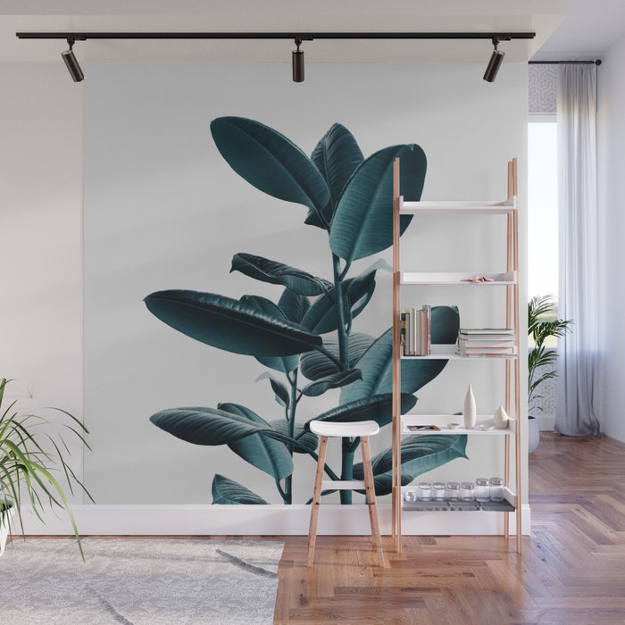 Ficus Wall Mural Gallery Image 1