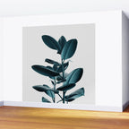 Ficus Wall Mural Gallery Image 2