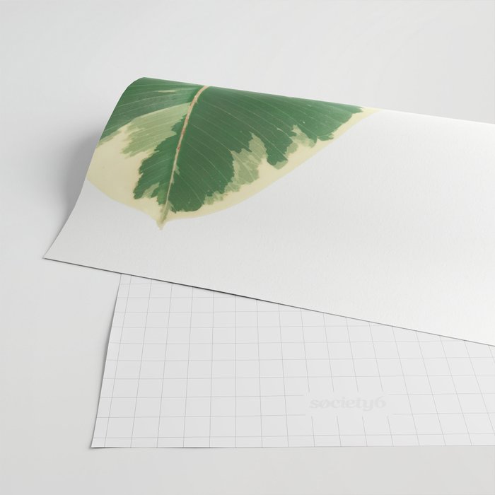 Leaf Study Wrapping Paper Gallery Image 2
